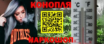 спиды Рыбинск