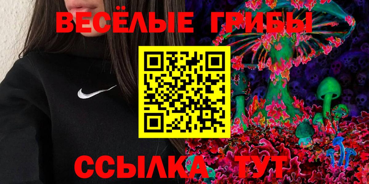 Псилоцибиновые грибы ЛСД  Вход с VPN  Новозыбков 